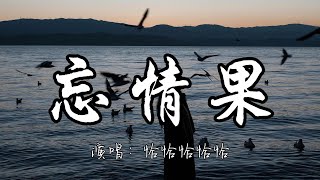 恰恰恰恰恰 - 忘情果『我不是除了你就没人要  我只是除了你谁都不想要。』『动态歌词MV』