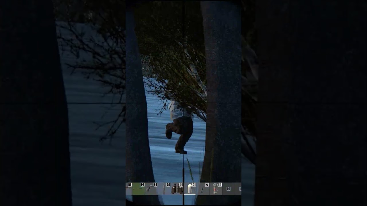 DayZ Тихий убивиц   