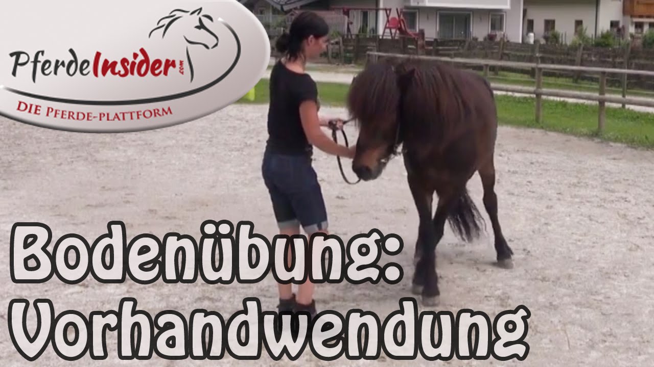 🐴 Pferde am Boden lösen: Die Vorhandwendung 👍