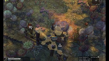 Tree of Savior - Collection: Aqueduct Bridge Area
