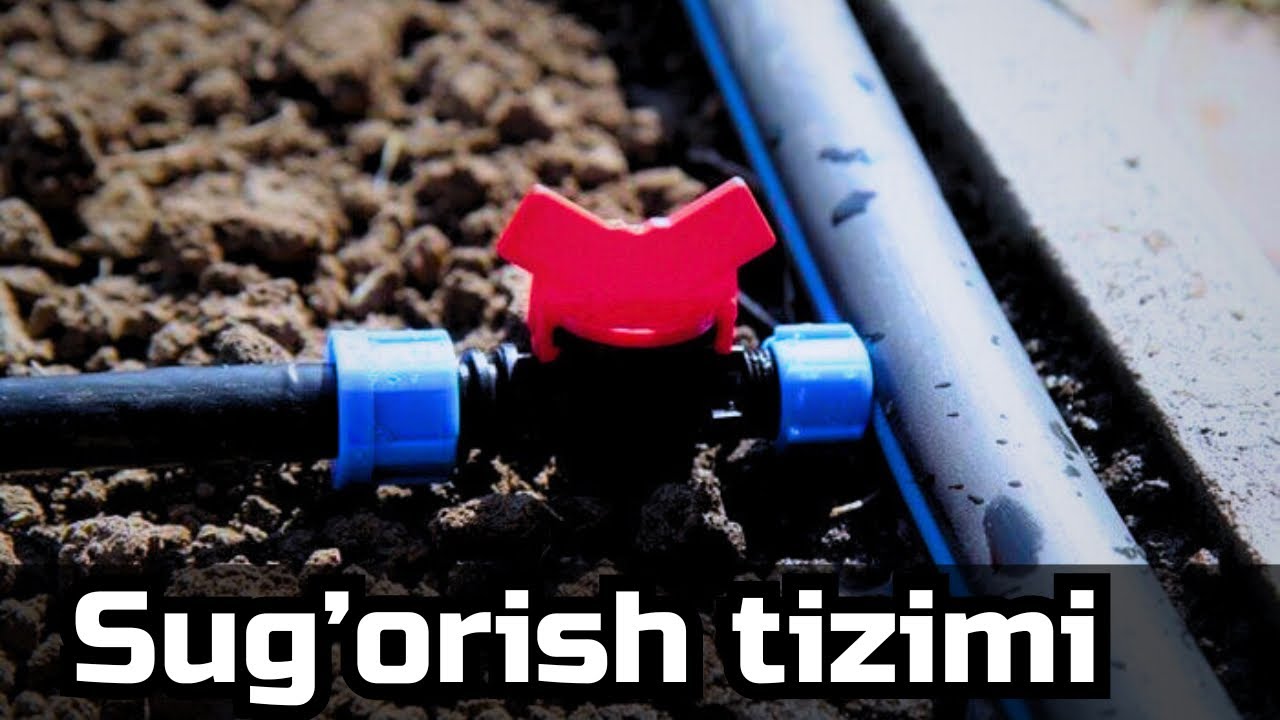 Suvni Tejaydigan Tomchilatib Sug‘orish Tizimi