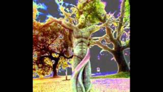 Dj. Pallab @ 'Enigma Sound Track''[Essence of life].wmv