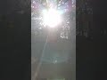 Белые пески, сосны и белка бродяга. ☀🌲🐿