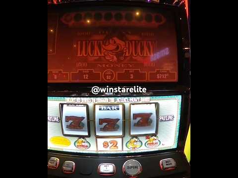 Play Ducky Luck Casino Games Anytime, Anywhere: English Language App for South African Players