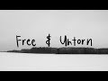Matthew Mole - Free & Untorn [Official Audio]