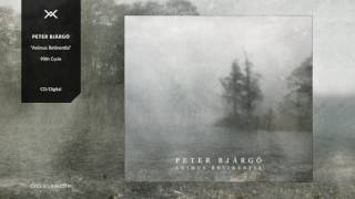 Peter Bjärgö - To Replace My Sadness