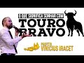 O que Significa Sonhar com Touro Bravo | Profeta Vinicius Iracet