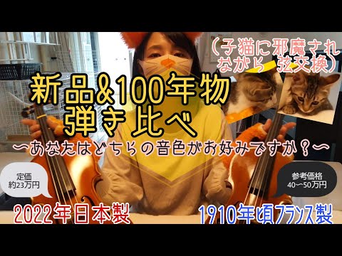 100年以上前の1/2サイズバイオリンが手に入ったので、日本製の新品と