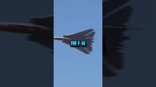 How an F-14 can shoot down an F-35 Lightning