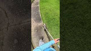 Overgrown lawn edging clean up