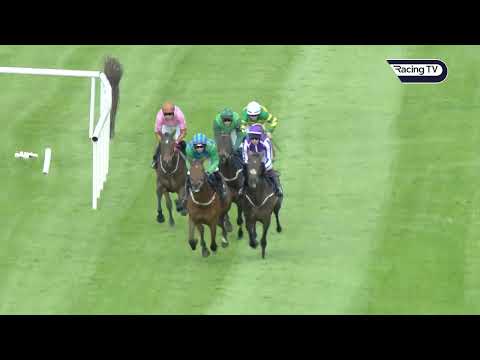 Impaire et passe dominates at punchestown