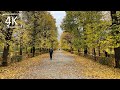 Walking in Autumn, Sounds of Autumn, Vienna Schönbrunn Palace,  Schönbrunn Gardens, Gloriette - 4K
