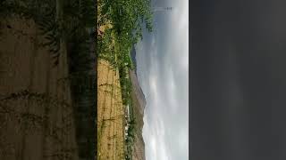 #swat #beutiful #weather #clouds . #1. MrBeast. I Spent 50 Hours Buried Alive. #Kaisi Teri Khudg Resimi