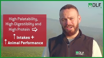 DLF Grassland Management | Multispecies Swards Low Input with High Output