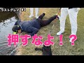 押すなよ！絶対に押すなよ！！【#3恒例のハーフ27出すぞ！】