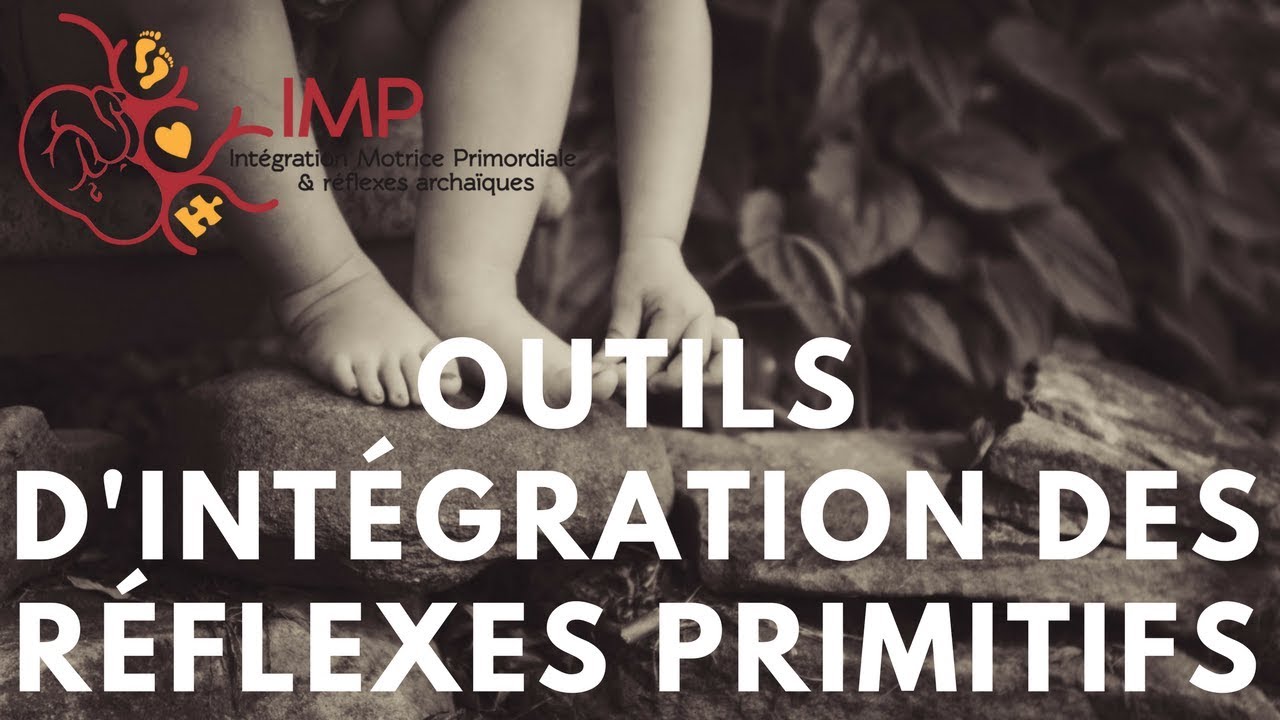 Les outils pour réintégrer les réflexes archaïques