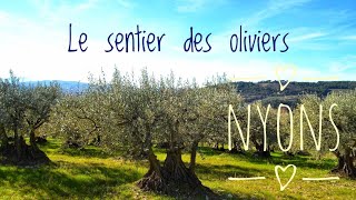 Nyons, Drôme: Discover The Olive Trail / Le sentier des Oliviers