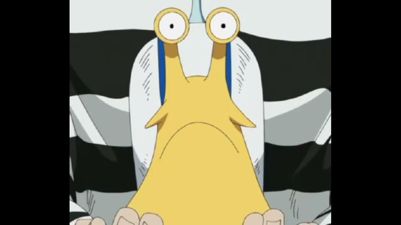 Transponder snail (One Piece) YouTube