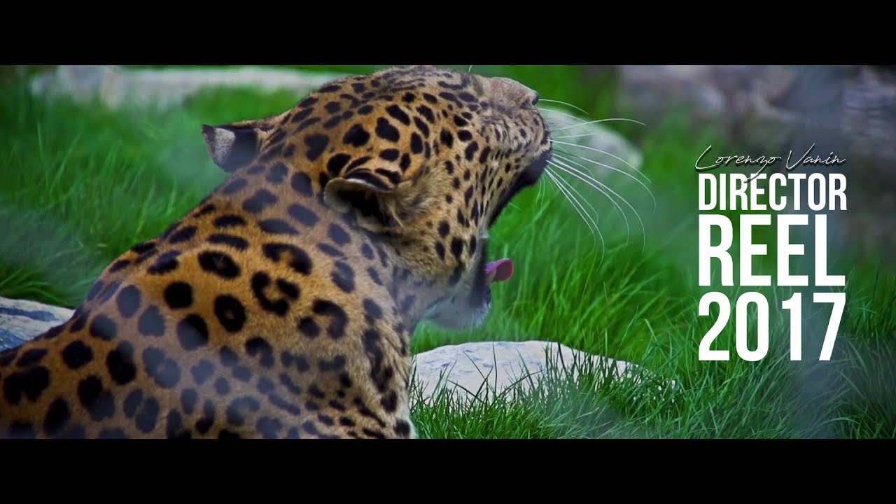 Lorenzo Vanin | Director Reel 2017