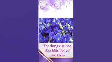 công dụng bất ngờ của hoa đậu biếc #tintuc #healthy #flowers #hoa #hoadaubiec