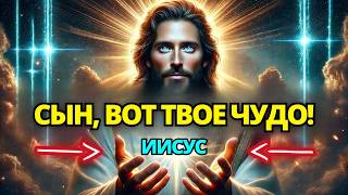 :   , :      !    