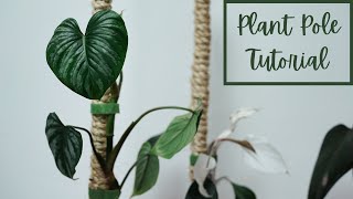 Sisal Rope Plant Pole Tutorial - Way Better Than Moss