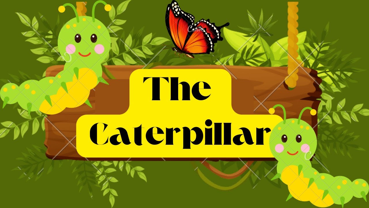 Caterpillar story English Bed Time Stories hungry caterpillar story