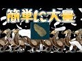 【ARKモバイル】なかなか手に入らない幻のアイテム“ドードーフェザー”大量入手する方法‼