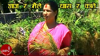 Asare Geet | Aaja Ra Maile Ghasa Ra Kate - Haridevi Koirala