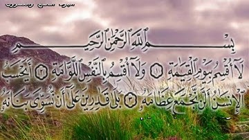 سورة القيامة75 |ضمن المصحف المرتل بصوت |محمد عبد الحليم