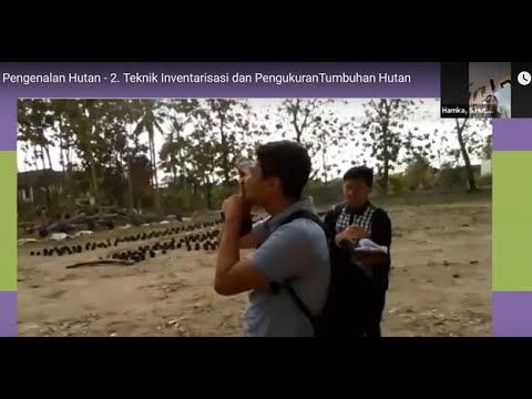 Video: Apa Itu Penandaan Cabang: Informasi Tentang Kerusakan Penandaan Pada Pohon