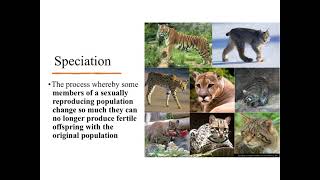 Natural Selection, Speciation, & Evolution 2.mp4