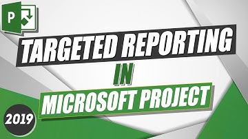 Microsoft Project 2019 Tutorial: Targeted Reporting in MS Project
