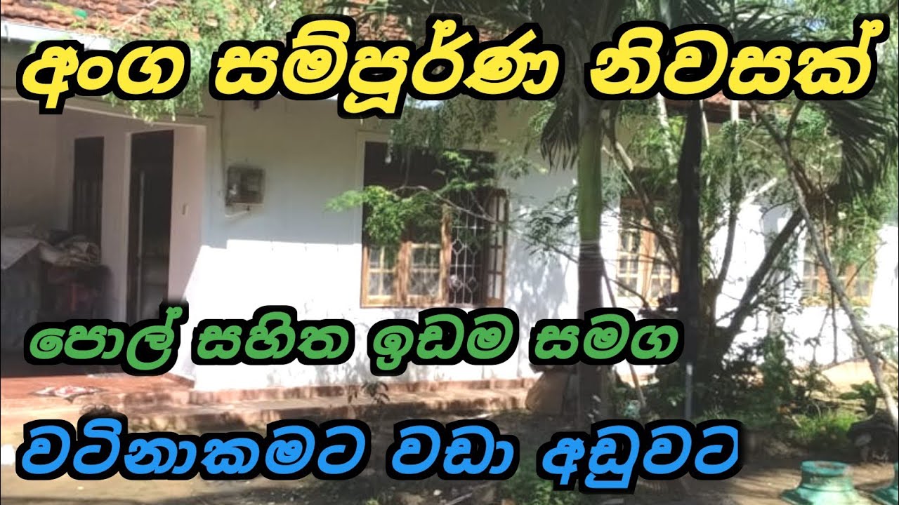 වටිනාකමට වඩා අඩුවට අංග සම්පූර්ණ නිවසක් | House for Sale | House Sale In Polpithigama | Ikman Selling
