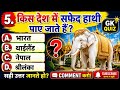 🐘 किस देश में सफेद हाथी पाए जाते हैं? | GK Quiz 2026 | General Knowledge Questions #shorts