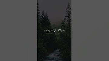 ﴿ أَلَّا تَخَافُوا وَلَا تَحۡزَنُوا وَأَبۡشِرُوا بِٱلۡجَنَّة﴾ #الشيخ_محمد_صديق_المنشاوي || سورة فصلت