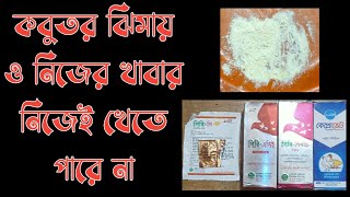 কবুতর ঝিমায় ও নিজের খাবার নিজেই খেতে পারে না | অসুস্থ কবুতরকে খাবার খাওনোর কৌশল
