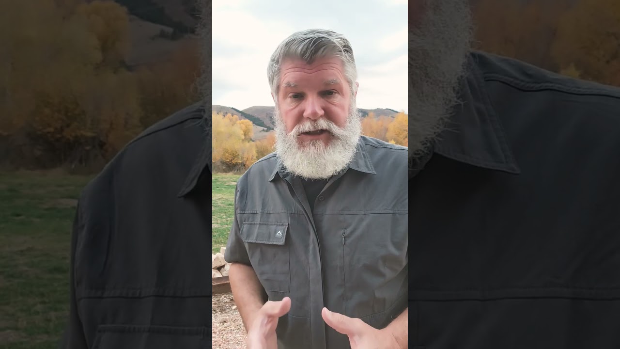 Пока нет федерального бюджета, нет и переселения беженцев