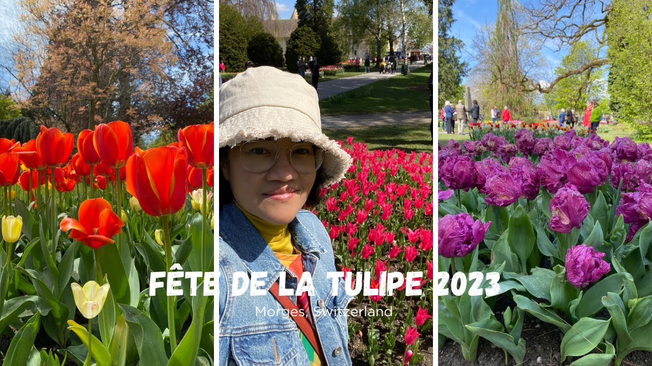 Tulip Festival 2023 Switzerland YouTube