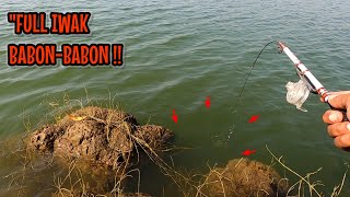 FULL IWAK BABON2‼️YANG MAU KESINI BURUAN WAKTUNYA GAK BANYAK || mancing ikan red devil NAHOL MANIA