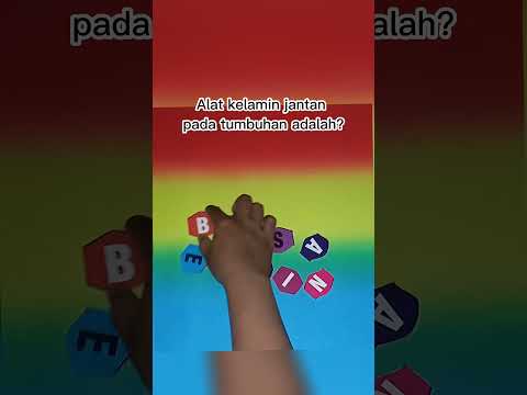 Video: Bagaimana stamen membantu pembiakan?