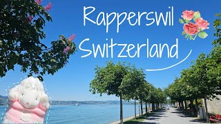 Rapperswil Vlog: Discover the Town of Roses 스위스에서 예쁜 장미 도시! 라퍼스빌 브이로그 ˃́ᴗ˂̀✿ ⟡ ݁₊ .