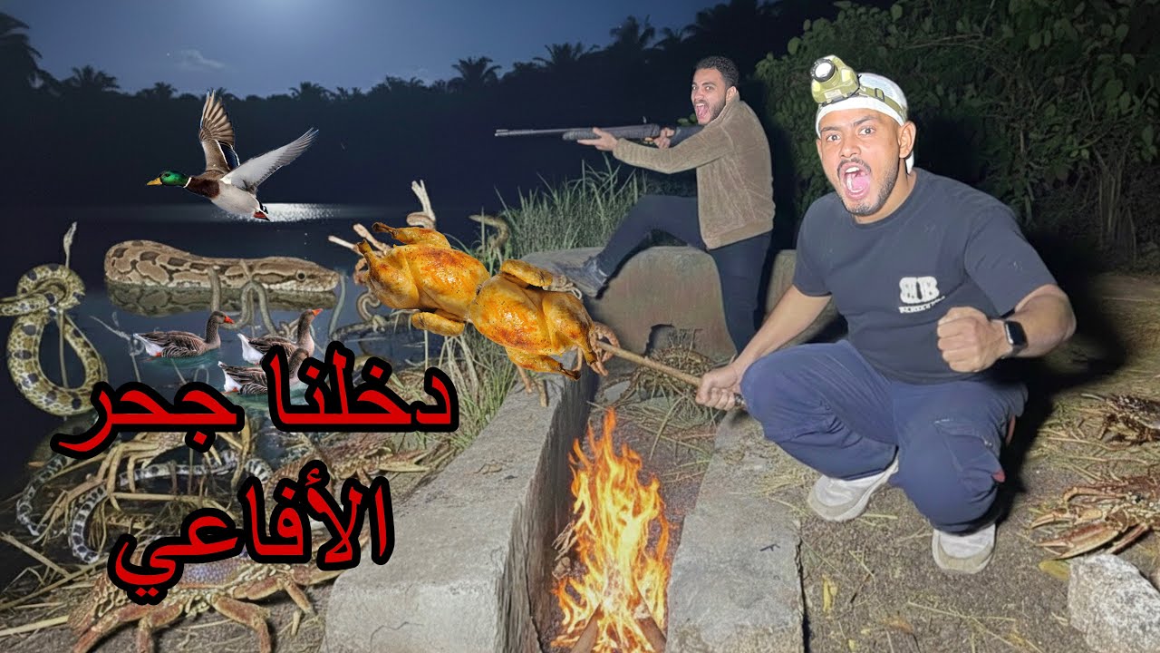 مغامرة الموت: صيد فراخ البحر في مستنقع الأفاعي!🦆🐍