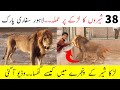 Lahore Safari Park main Kya hua | Safari Park Lahore Video | Lahore Safari Park Videos