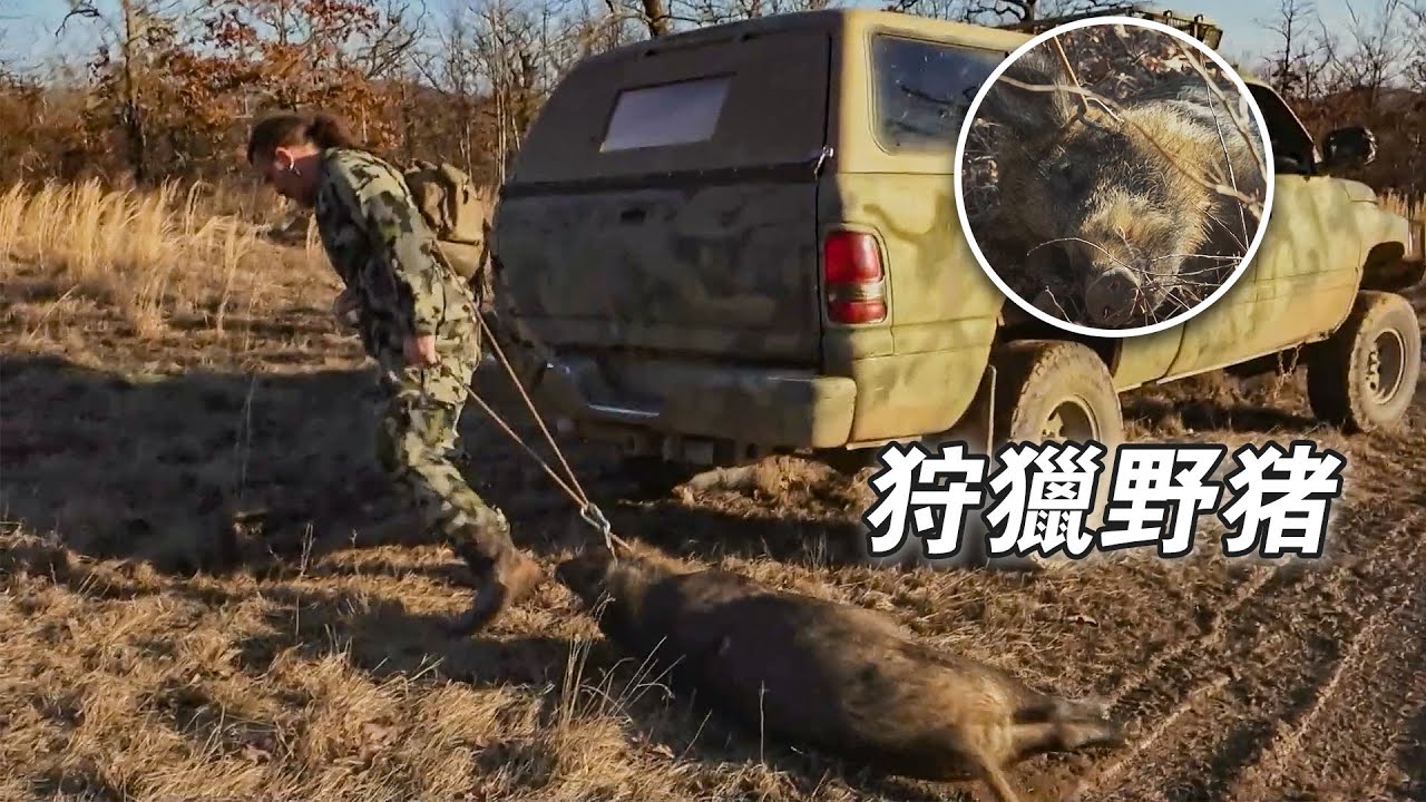 北美荒野山地硬漢：狩獵野豬鍛造屠龍，徒手抓鯰魚誘捕小龍蝦，製作黑熊香腸！紀錄片