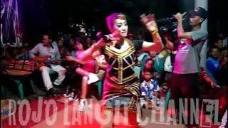 MUJAER MUNDUR - DEWI KIRANA