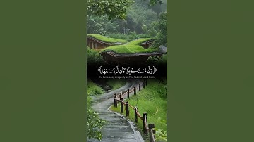 احترم القرآن الكريم ❤️😴