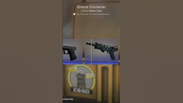 DAY 102 Opening a case everyday #csgo