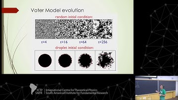 Multi-agent models in complex networks (2 of 4)