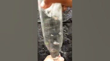 the fastest way to empty a water bottle | science experiment with water